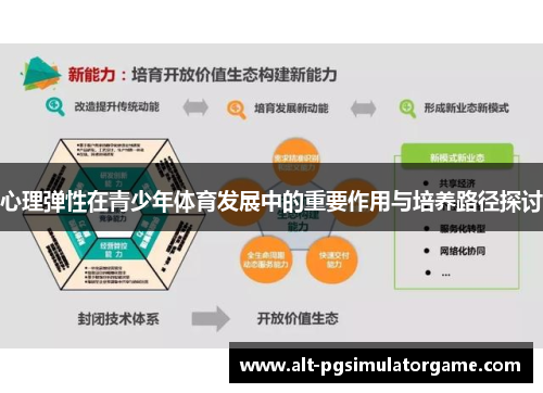 心理弹性在青少年体育发展中的重要作用与培养路径探讨