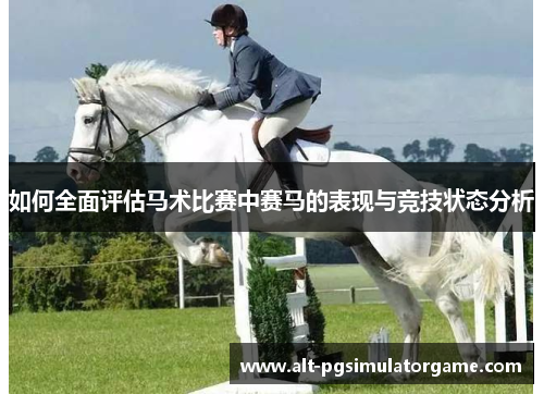 如何全面评估马术比赛中赛马的表现与竞技状态分析