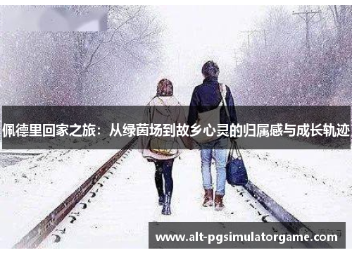 佩德里回家之旅：从绿茵场到故乡心灵的归属感与成长轨迹