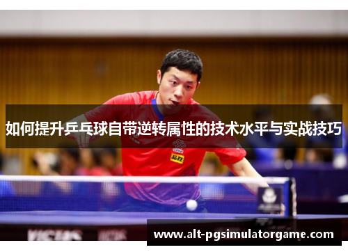 如何提升乒乓球自带逆转属性的技术水平与实战技巧