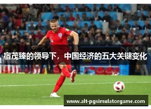 宿茂臻的领导下，中国经济的五大关键变化