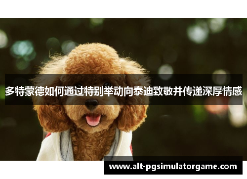 多特蒙德如何通过特别举动向泰迪致敬并传递深厚情感