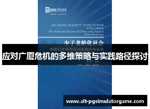 应对广厦危机的多维策略与实践路径探讨