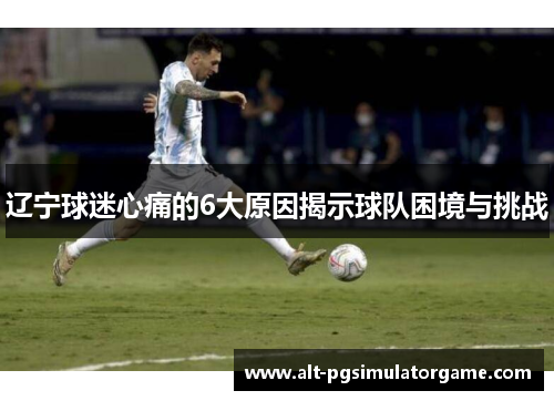 辽宁球迷心痛的6大原因揭示球队困境与挑战