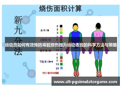 运动员如何有效预防肾脏损伤提升运动表现的科学方法与策略