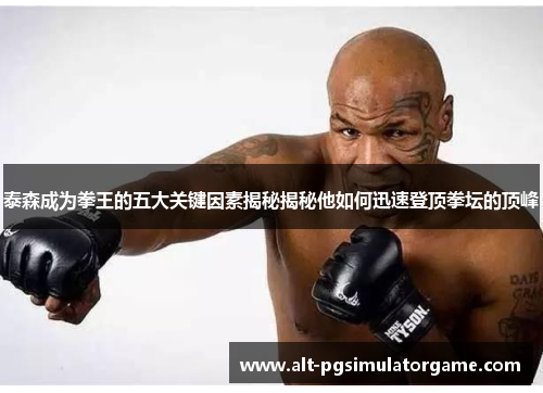 泰森成为拳王的五大关键因素揭秘揭秘他如何迅速登顶拳坛的顶峰