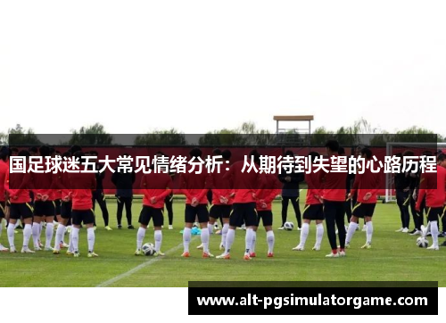 国足球迷五大常见情绪分析：从期待到失望的心路历程