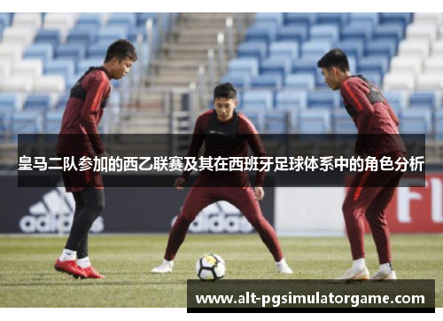 皇马二队参加的西乙联赛及其在西班牙足球体系中的角色分析