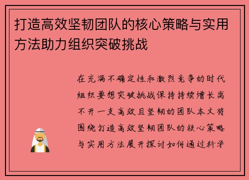 打造高效坚韧团队的核心策略与实用方法助力组织突破挑战