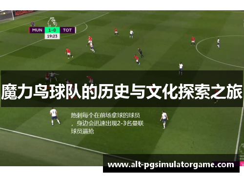 魔力鸟球队的历史与文化探索之旅