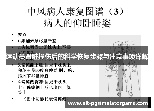 运动员肾脏损伤后的科学恢复步骤与注意事项详解