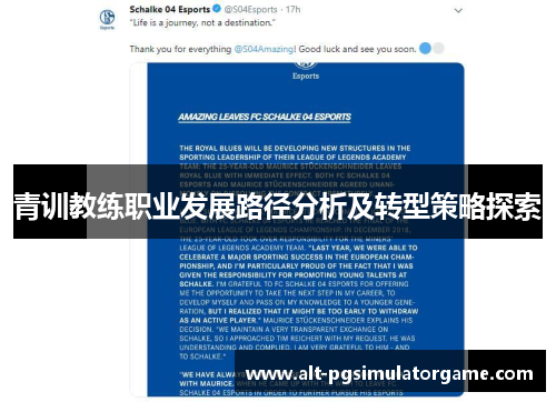 青训教练职业发展路径分析及转型策略探索 青训教练职业发展路径分析及转型策略探索
