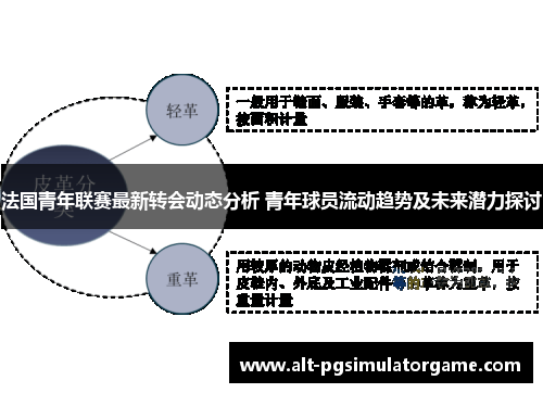 法国青年联赛最新转会动态分析 青年球员流动趋势及未来潜力探讨